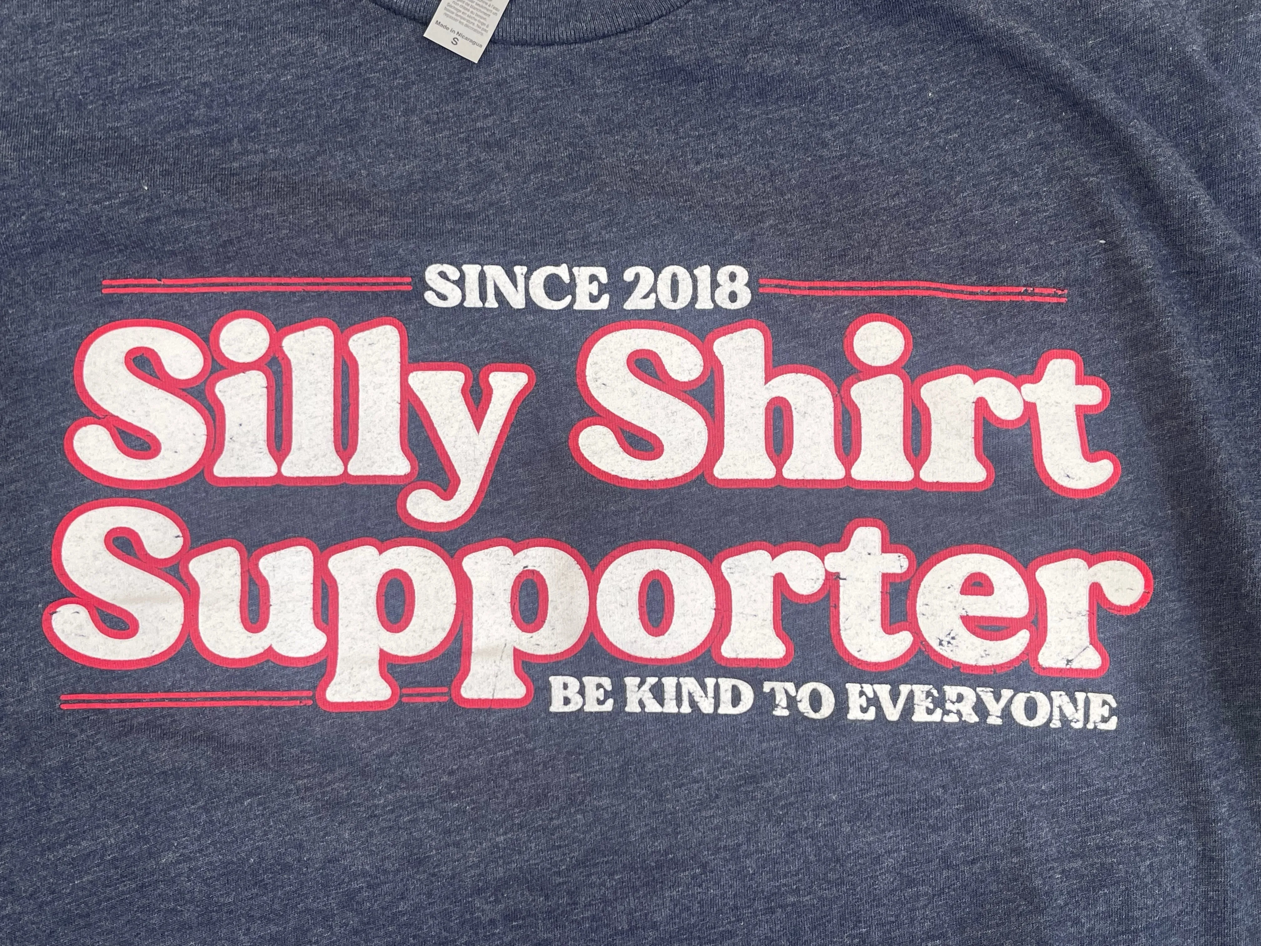 Jordyn's "Silly" Shirt - Be Kind to Everyone