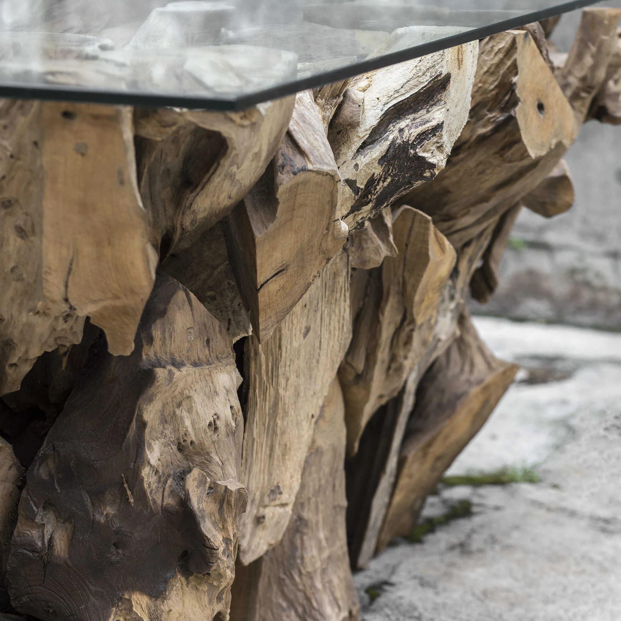 Teak Root 60" Coffee Table