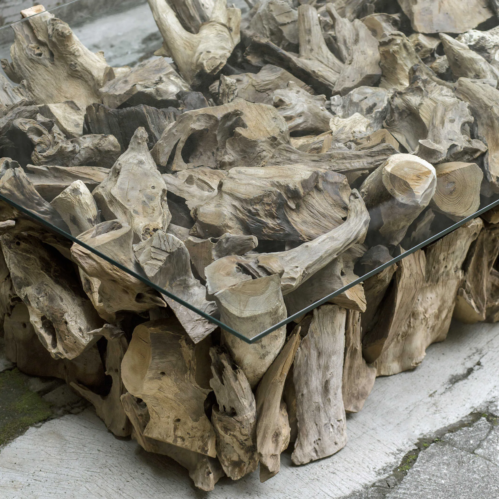 Teak Root 60" Coffee Table